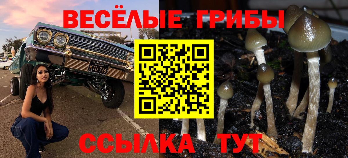 Галлюциногенные грибы Magic Shrooms Туймазы